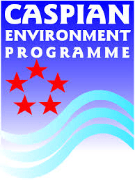 CEPI logo